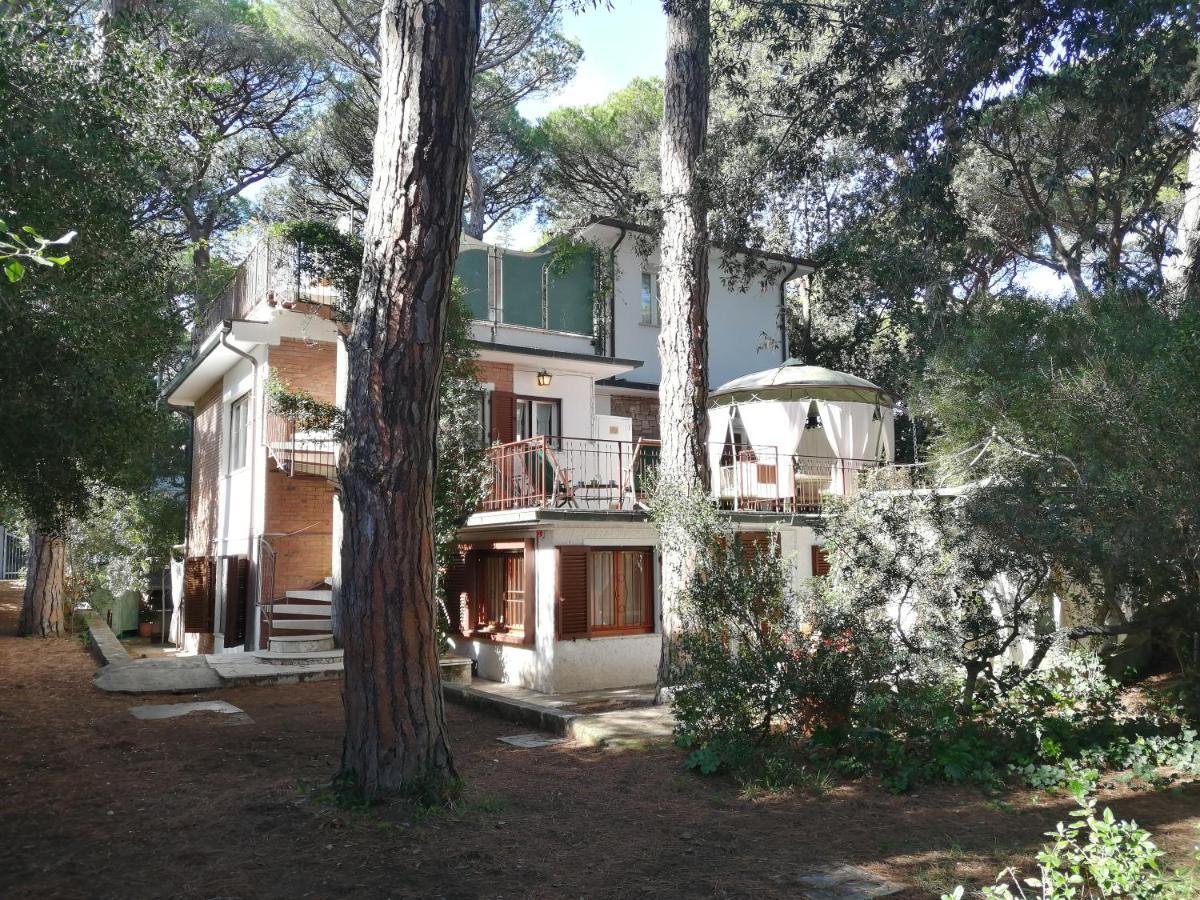 Vacanze Toscane In The Seaside 마리나 디 카스타녜토 카르두치 외부 사진